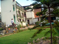 Naturopathy Home